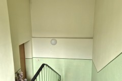 20250808_1009521